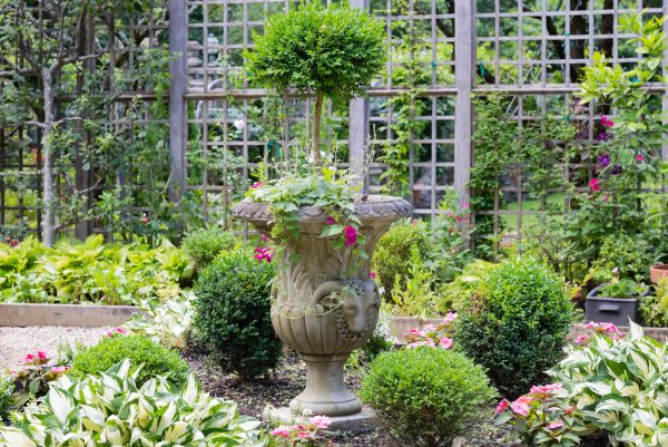 Cost of Topiary Pruning in Lake Havasu City
