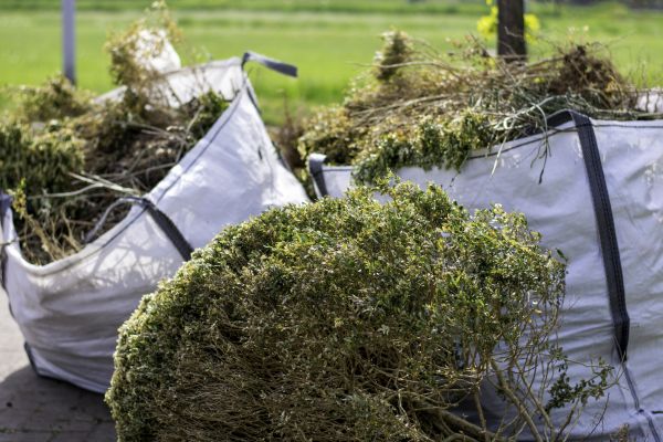 Cost of Shrubs Removal in Lake Havasu City