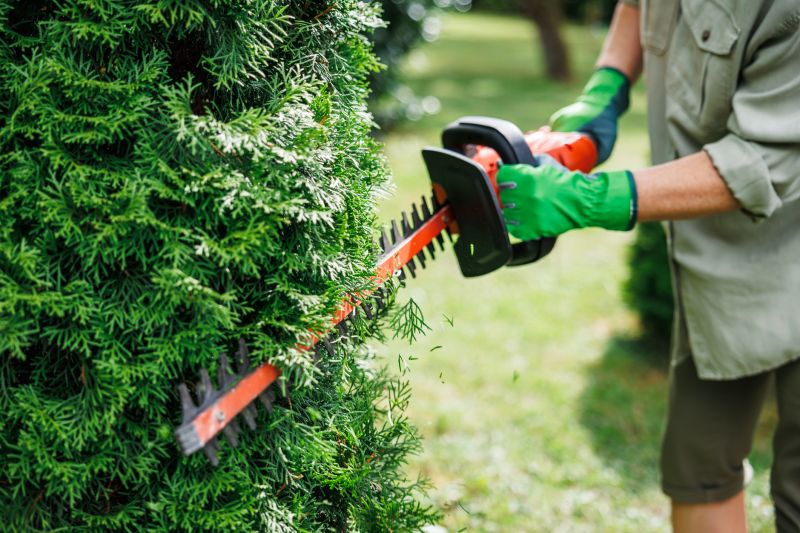 Seasonal Shrub Trimming Equipment